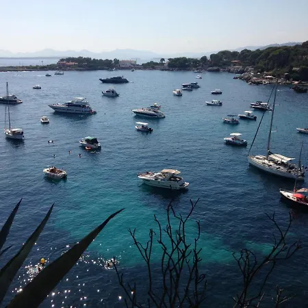 Coup De Coeur! Vue Mer! Terrasse Dangle!